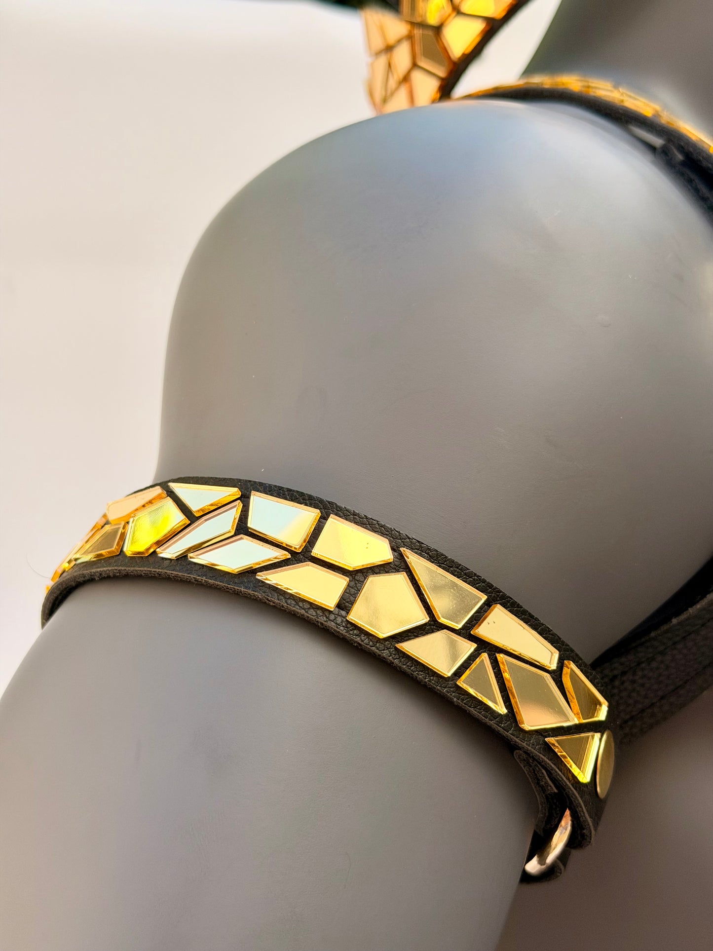 Harness Set - Gold Tile on Black Leather