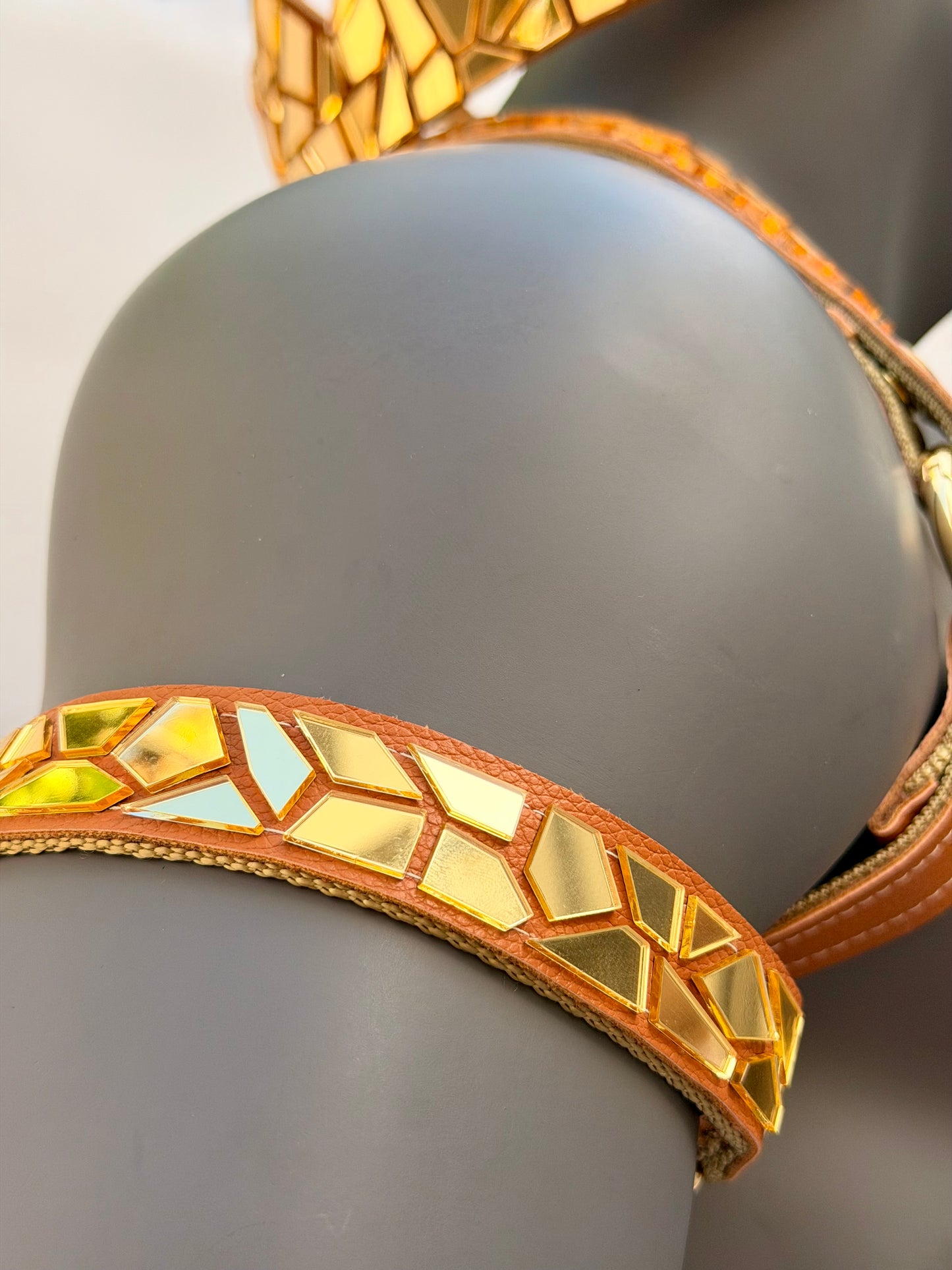 Harness Set - Gold Tile on Tan Leather