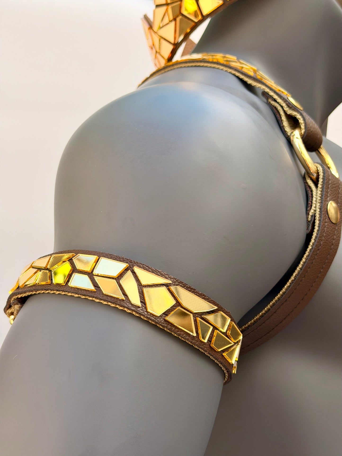 Harness Set - Gold Tile on Chocolate Brown Leather