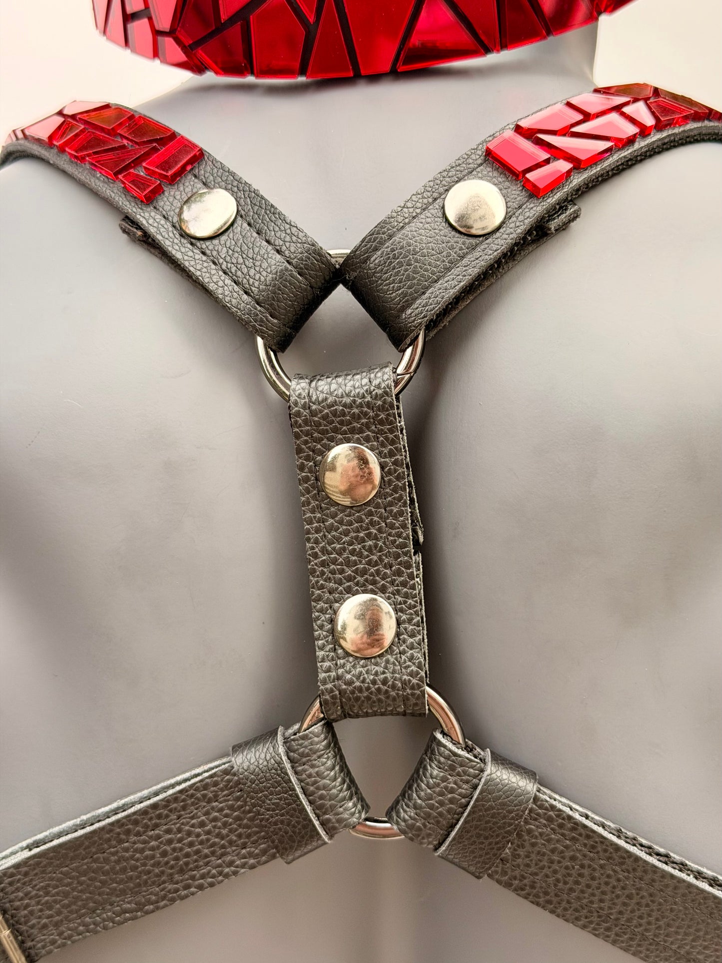 Harness Set - Ruby Red Tile on Black Leather