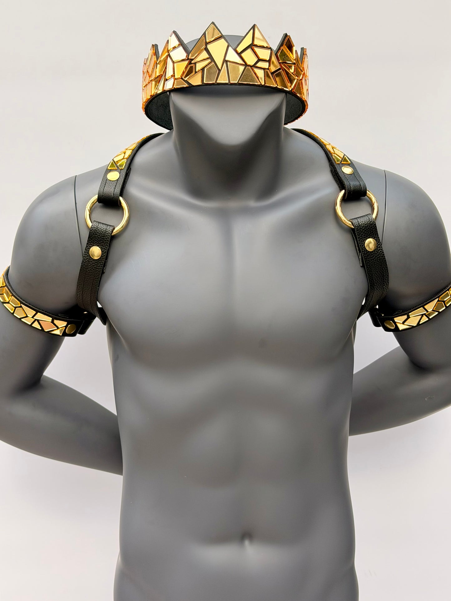 Harness Set - Gold Tile on Black Leather