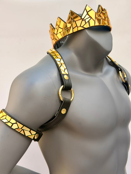 Harness Set - Gold Tile on Black Leather