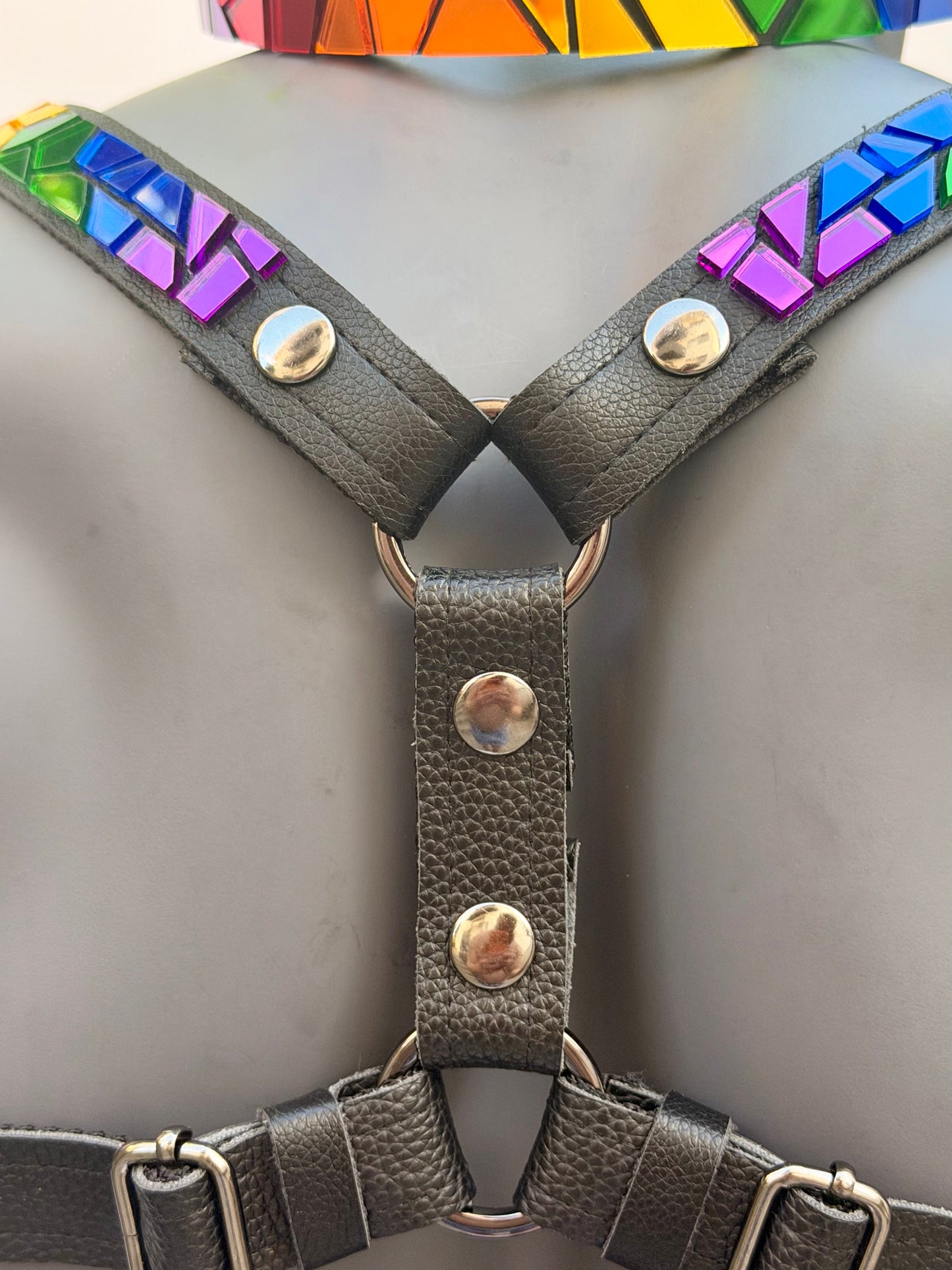 Harness Set - Pride on Black Leather
