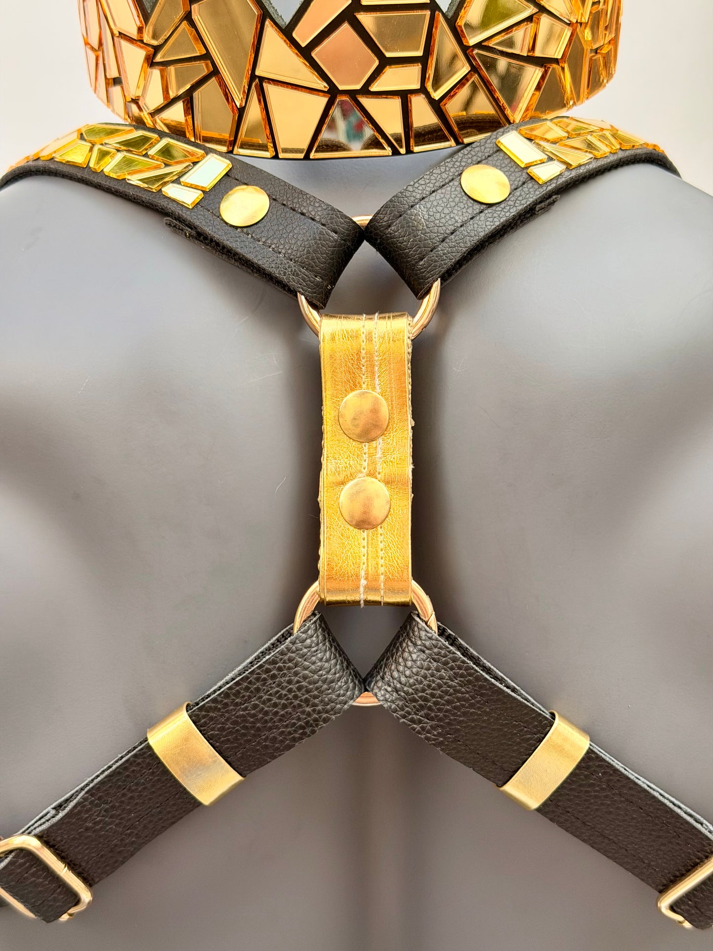 Harness Set - Gold Tile on Black Leather