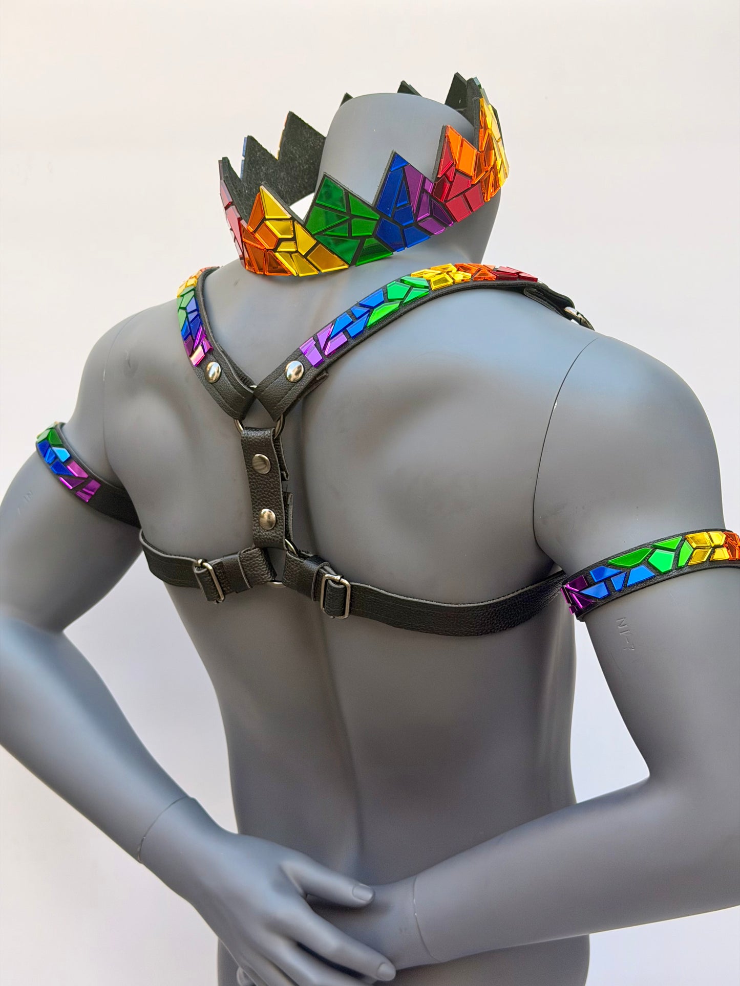 Harness Set - Pride on Black Leather