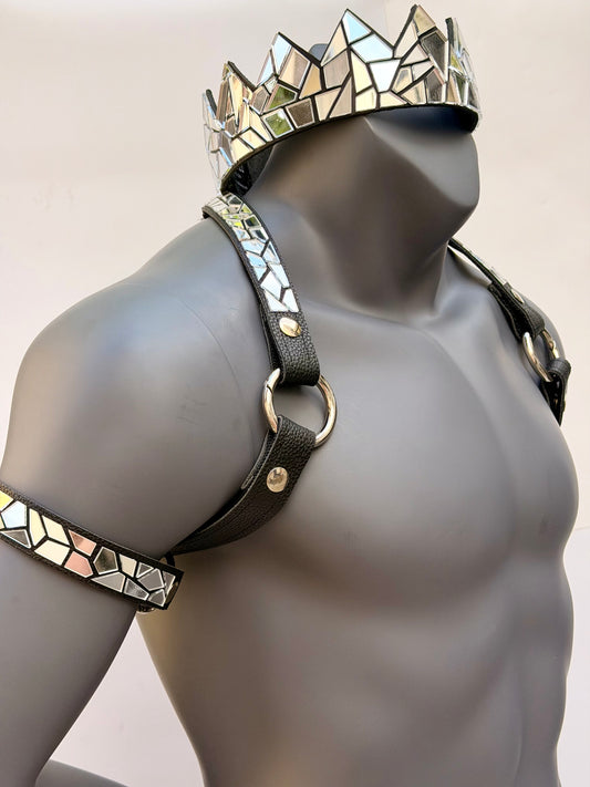 Harness Set - Silver Tile on Black Leather