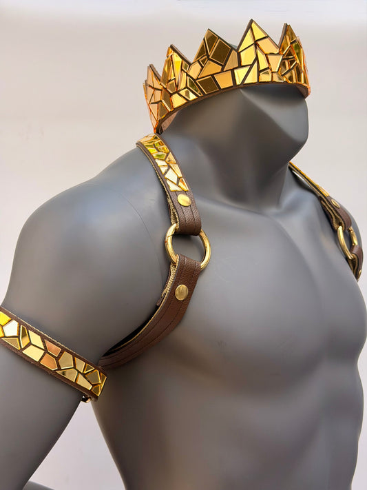 Harness Set - Gold Tile on Chocolate Brown Leather