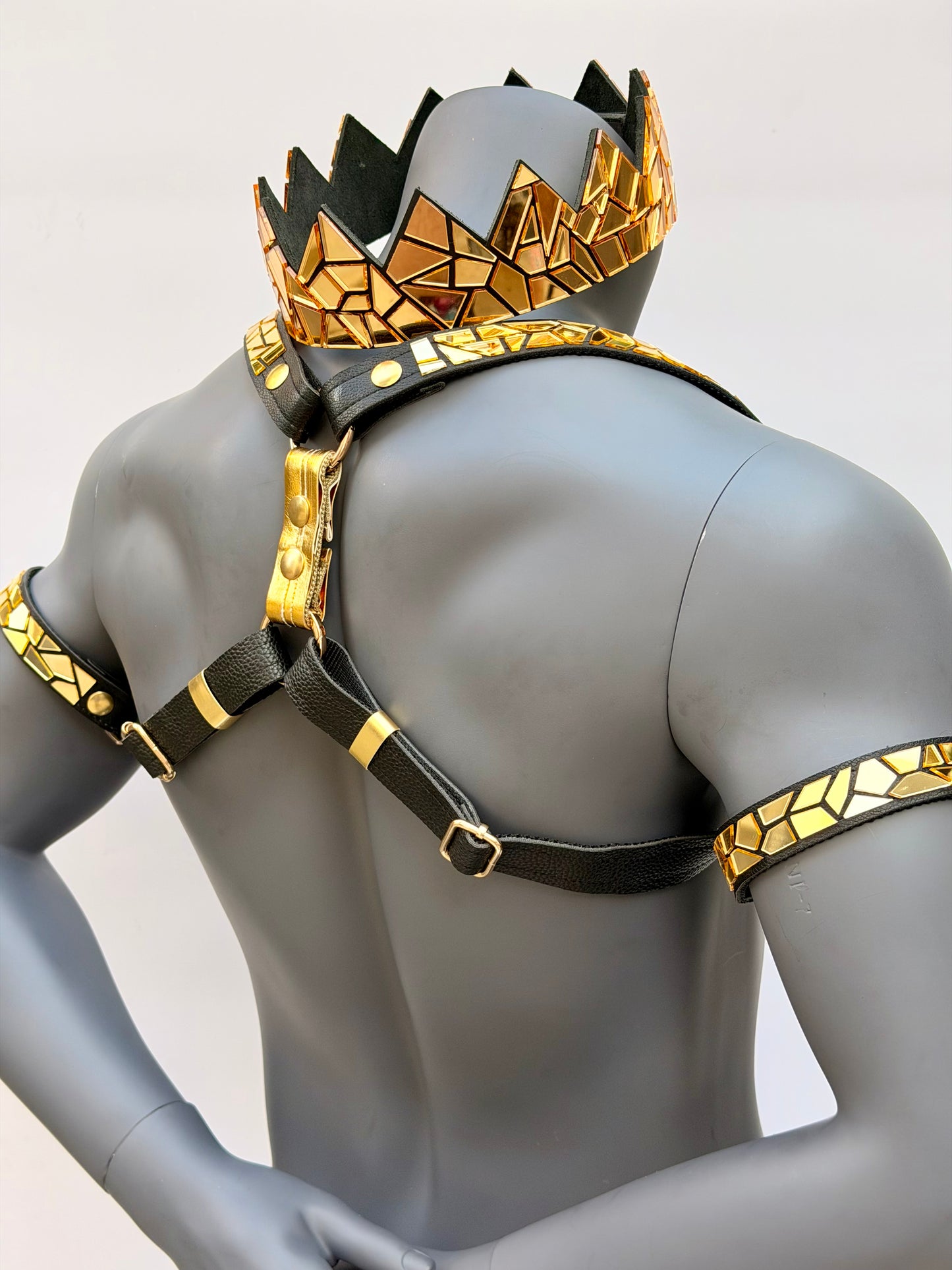 Harness Set - Gold Tile on Black Leather