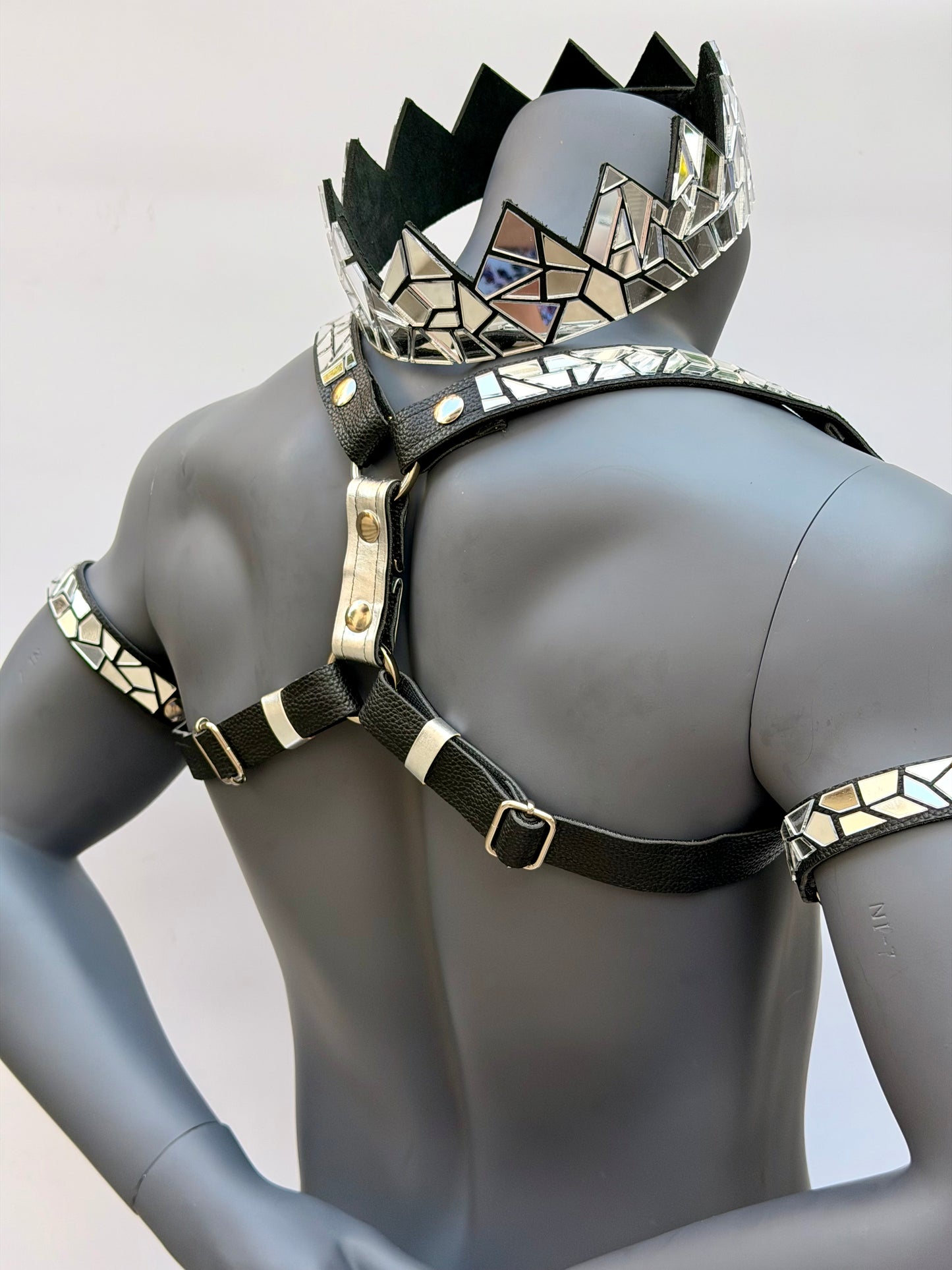 Harness Set - Silver Tile on Black Leather