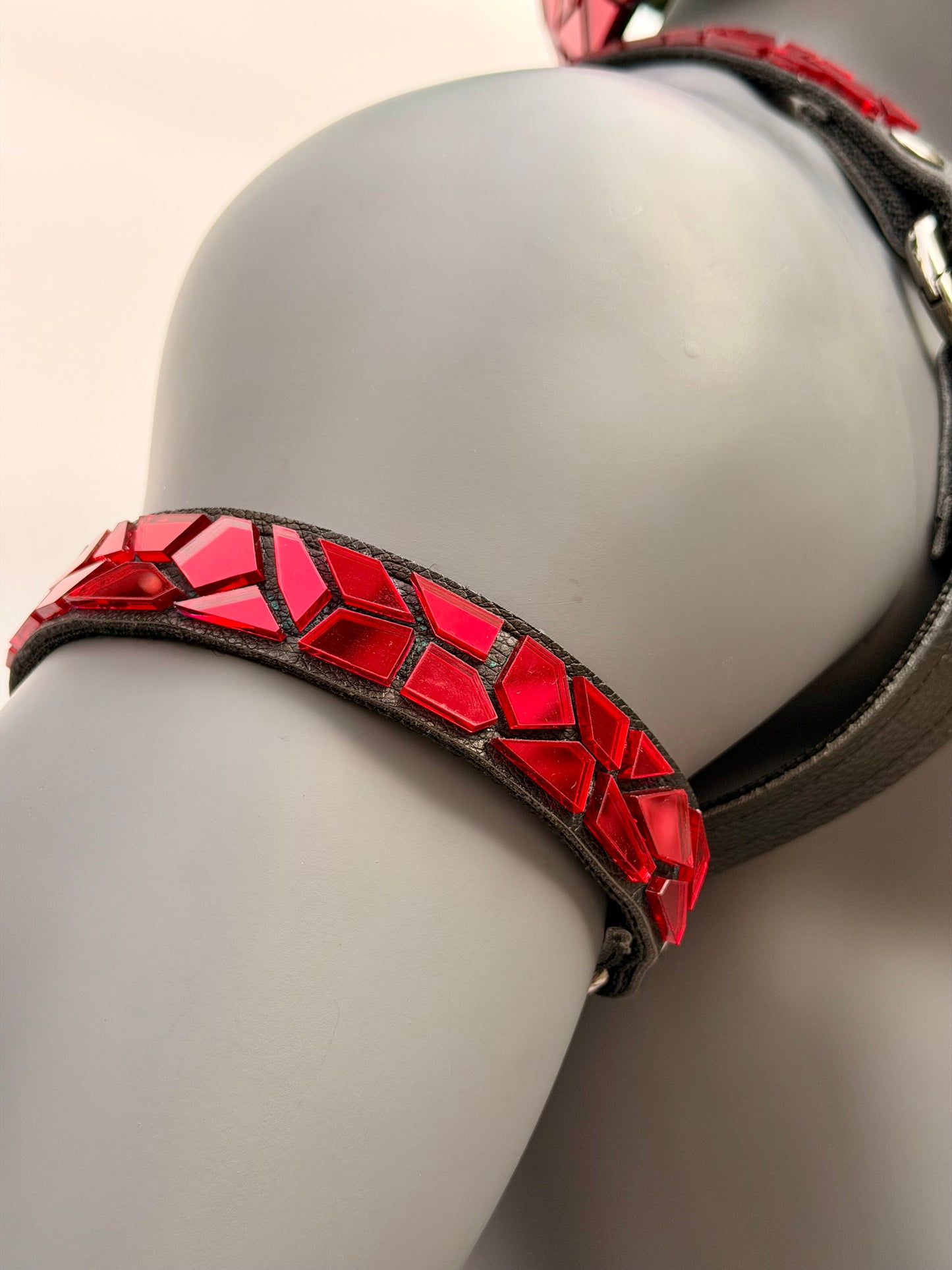 Harness Set - Ruby Red Tile on Black Leather