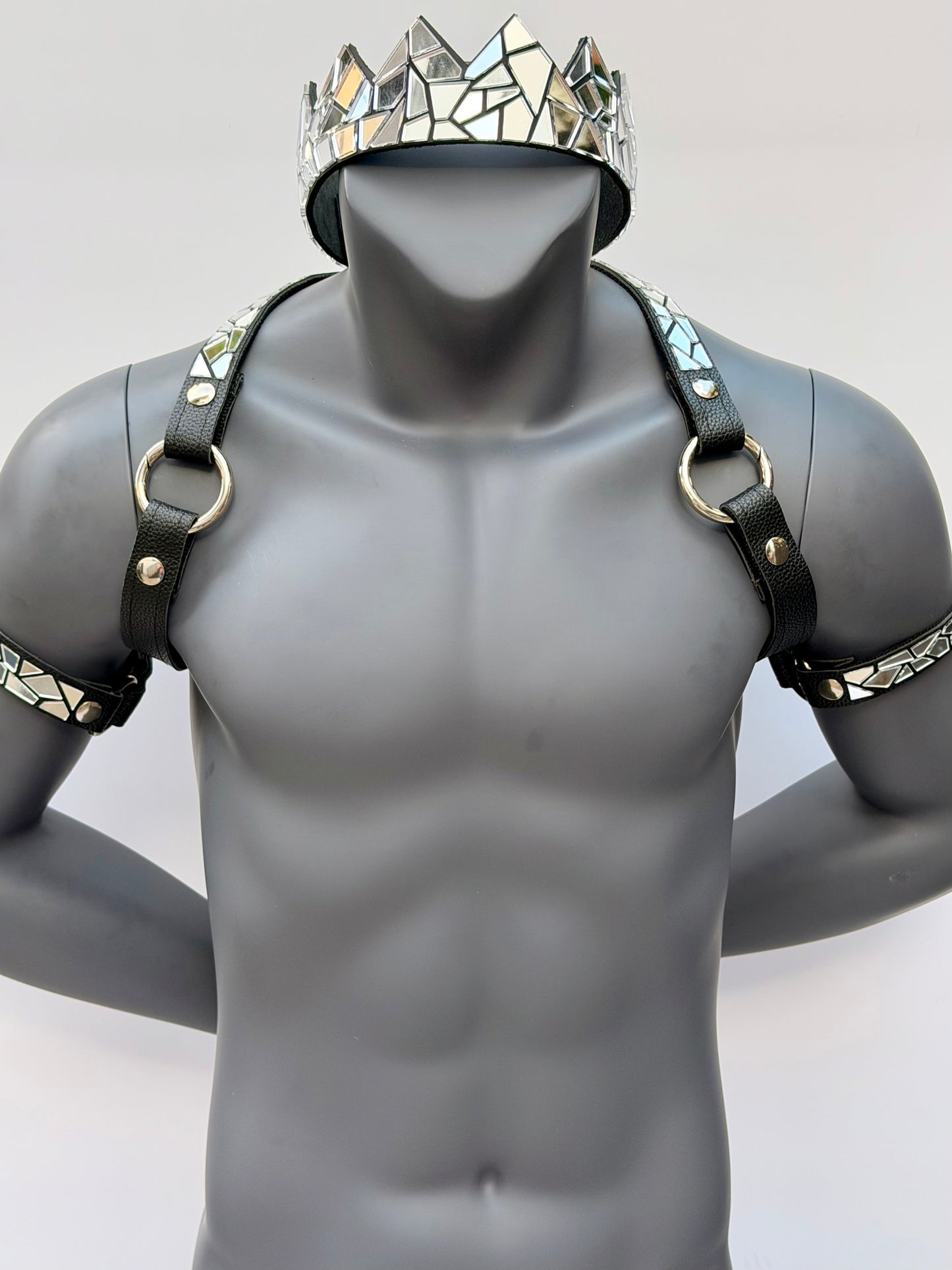 Harness Set - Silver Tile on Black Leather