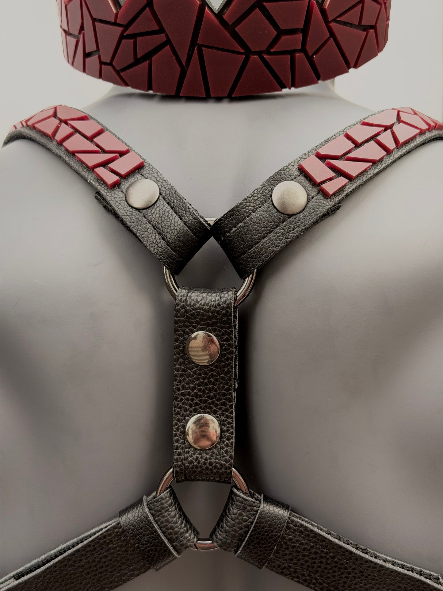 Harness Set - Ox Blood Tile on Black Leather