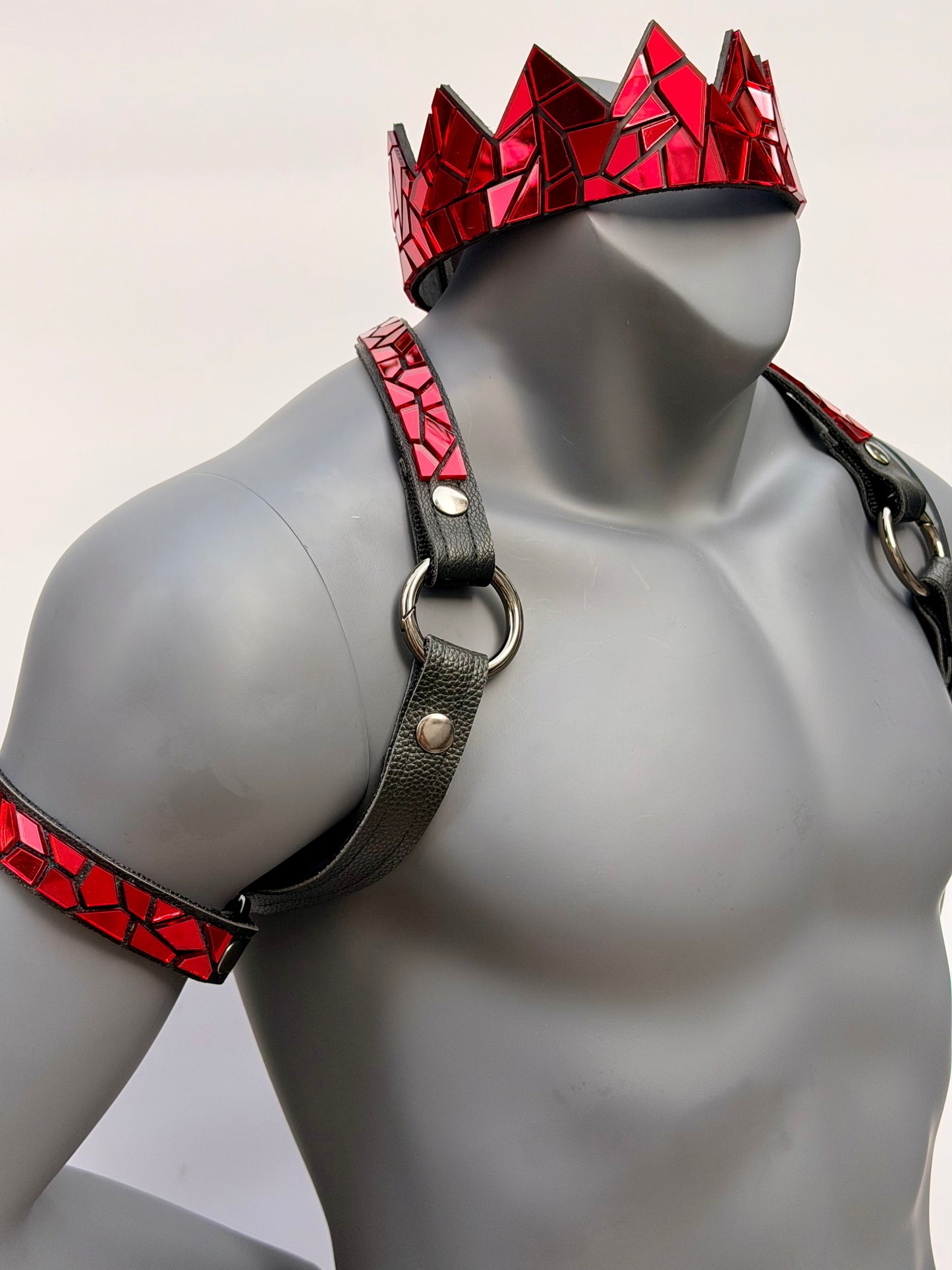 Harness Set - Ruby Red Tile on Black Leather