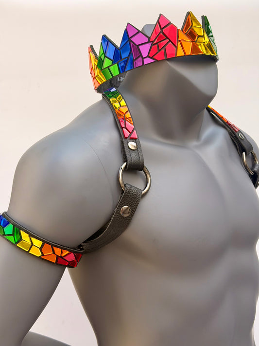 Harness Set - Pride on Black Leather